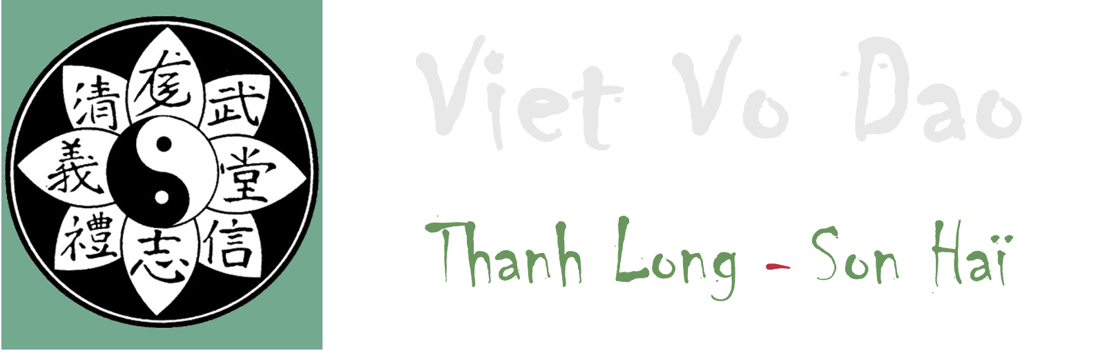 Viet Vo Dao Thanh Long Son Haï