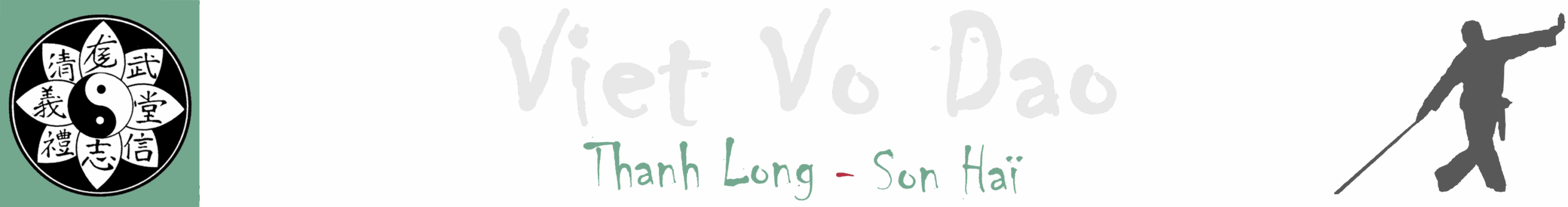 Viet Vo Dao Thanh Long Son Haï